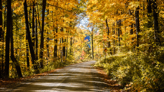 Top 10 Scenic Bike Trails for Summer in the USA: Explore Breathtaking Views on Your Ebike