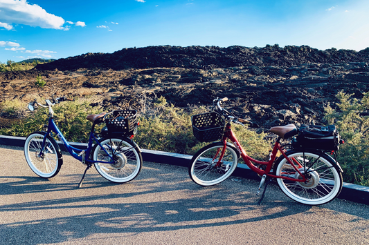 Unveiling Ebike-Friendly Destinations: Embark on Scenic Trails and Charming Towns